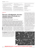 Discovery of bridgmanite, the most abundant mineral in