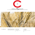 C come magazine n. 32
