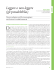 Scarica questo file PDF