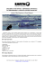 Scarica versione PDF