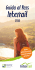 Italia - Interrail