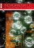 Novigrad - Cittanova, Božić 2008 / Natale 2008 • broj / numero 031
