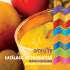 CATÁLOGO DE PRODUCTOS