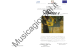 Musica e... - MusicaGiovani.it