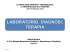 Diapositiva 1 - Associazione A.ME.GE.P. DOMENICO