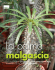 Il mio giardino
