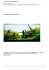 Ottobre 2012 - Acquario del mese