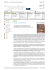 Primopiano Pagina 1 di 2 NEWTON