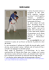 Seoi-Nage - bisibudo.net