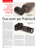 Leggi l`articolo intero in pdf