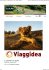 Viaggi in Sudafrica con Sudafricaperte.it: il tuo