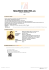 RADETZKY-MARCH Op.228. Trascrizione da - Free
