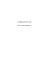 curriculum vitae - E