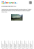 ranieri bluewater 211 wa