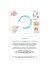 Spinal reflexes