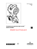 Italiano - Emerson Process Management