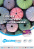 Scarica PDF - Chianti Viaggi