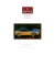 Manuale istruzioni Rover serie 200