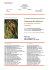 Programma in PDF - Fabrizio Romagnoli