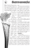 Sarracenia