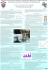 70x100 paper format, Poster Presentation (, 1.298.828 Bytes)