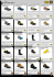 Scarpe e stivali antinfortunistici
