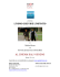 Pressbook - Bari International Film Festival