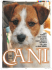 JACK RUSSELL CANE CORSO SHAR PEI COPPA EUROPA ALL