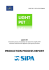 production process report