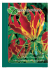 onze zomerbloeiers catalogus