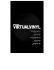 VirtualVinyl Multilingual Quickstart Manual - rev1.2