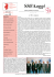 Visualizza PDF