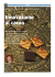 Innovazione al cacao