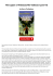 The Legion of Videssos(The Videssos Cycle #3)