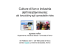 (Microsoft PowerPoint - 20110209_CultureDiFan_NEXA.ppt [Sola