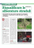 cantiere anteprima
