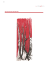la rivistaGHOO¶Arte Speciale Kamau Brathwaite