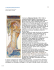 119-La Praga di Alphonse Mucha
