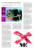 pag 2