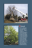 Listino Mati 2006-3B.indd