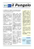 IL PUNGOLO – Anno 10 – Numero 02/2015