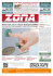Zona 25-11-11 - Zona - Il giornale gratuito di Roma Nord