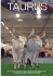 razza chianina