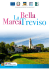 Treviso - La bella Marca