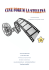 cine forum la stellina in word_completo (1)