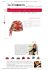 il cappello alla ribalta - Gallia e Peter Cappelli