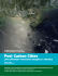 Post Carbon Cities - Indipendenza Energetica