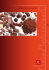 polveri di cacao - Icam Linea Professionale