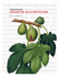 libri rari di gastronomia