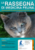 di medicina felina